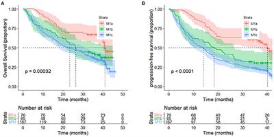 A Low Albumin-to-Globulin Ratio Predicts a Poor Prognosis in Patients With Metastatic Non-small-cell Lung Cancer